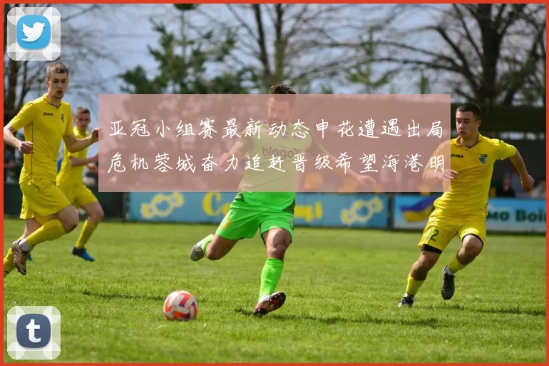 亚冠小组赛最新动态申花遭遇出局危机蓉城奋力追赶晋级希望海港明日迎战挑战